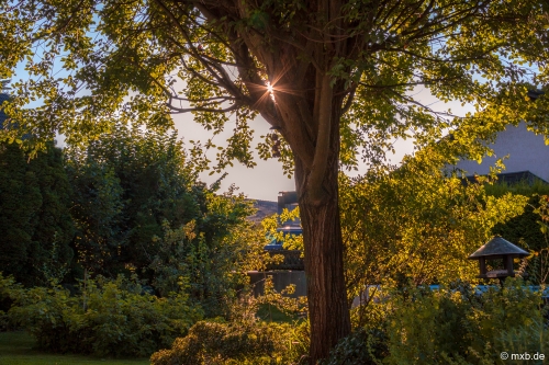 Abendstimmung im Garten