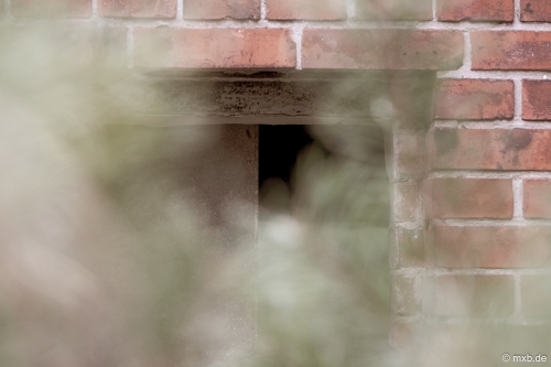 Lost Places - Alte Schule in Brandenburg