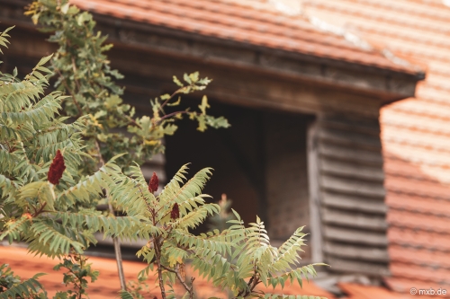 Lost Places - Alte Schule in Brandenburg